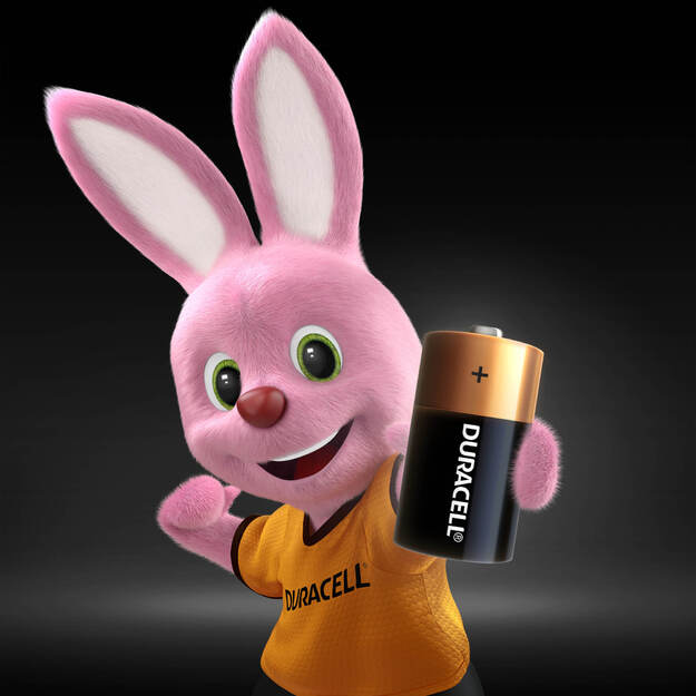 Baterijos DURACELL C, LR14, 2vnt