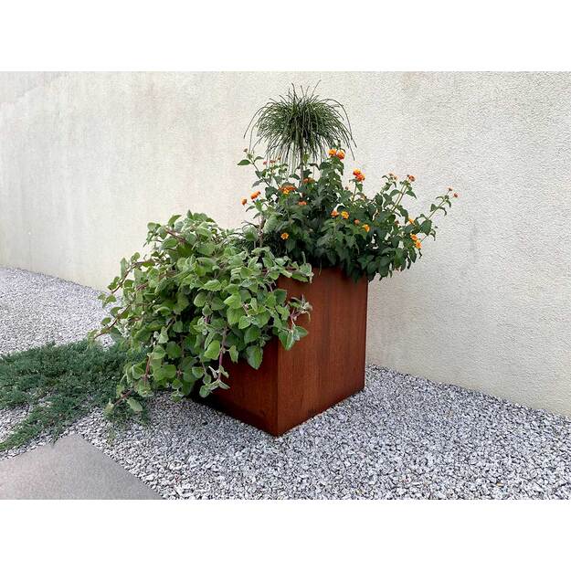 Steel planter Corten CUBO 1