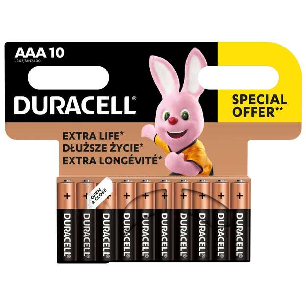 Baterijos DURACELL AAA, 10 vnt.