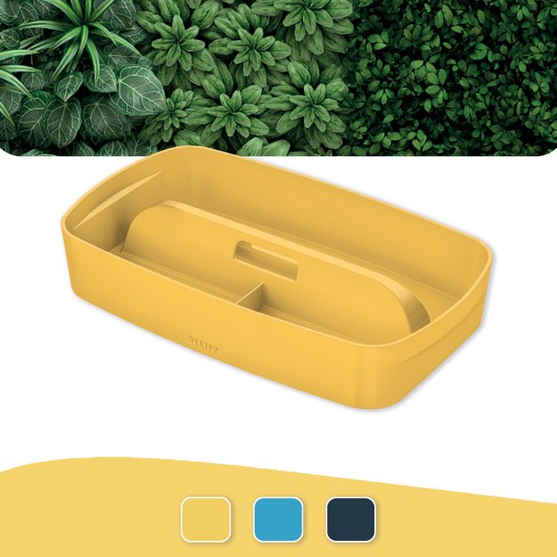Dėžutė daiktams Cosy L:MyBox su skyriais, maža, geltonos sp.